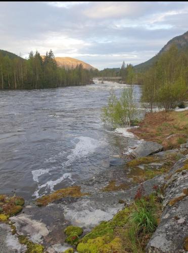 Holidays 4 rooms in Gol