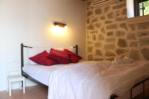 Villa Asterina