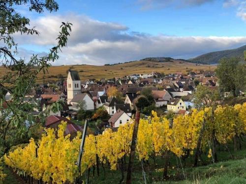 Gite Au Nid de Cigognes Gite Au Nid de Cigognes