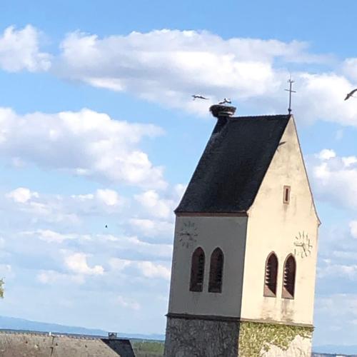 Gite Au Nid de Cigognes Gite Au Nid de Cigognes