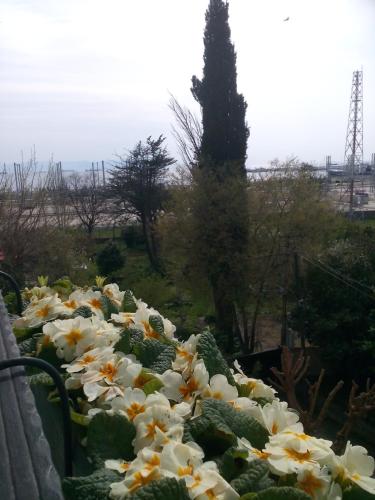 Pendik Marine Hotel