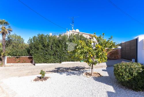 Casa Daniela - image 5