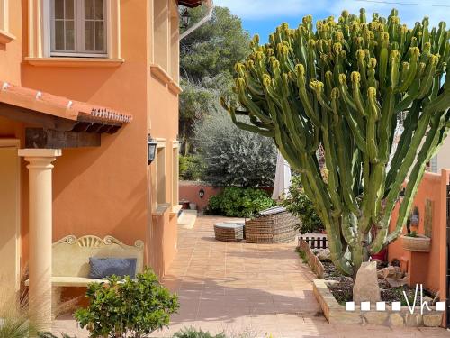 VH CostaBlanca - CARRASQUETA