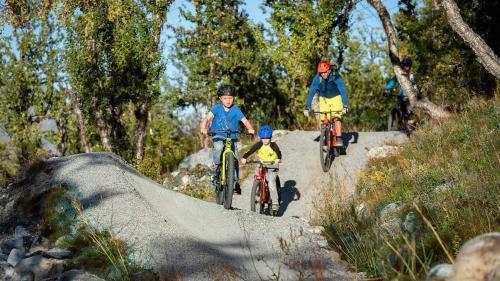 Exclusive appartment at Fyri Tunet, Hemsedal - next to Fyri Resort