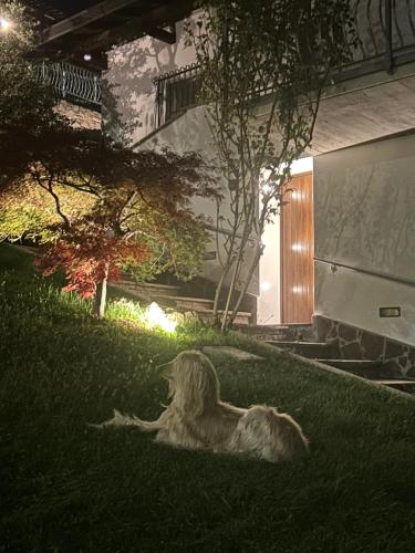 Casa Vacanza SK in Bianzano