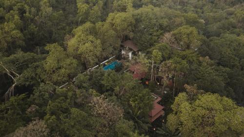 Tree of Life Paraiso, Goa