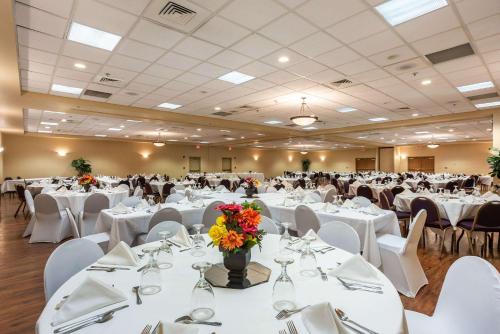 Quality Inn & Suites Hannibal - image 11