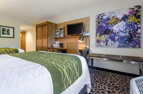 Queen Room with Two Queen Beds - Non-Smoking