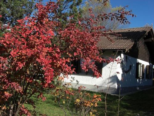 Ferienhaus Gamssteige im Feriendorf Reichenbach G32 in Nesselwang, Deutschland
