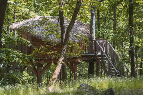 ทางเข้า, TREE HOUSE U Mravence in อิวาโนวิเชอ