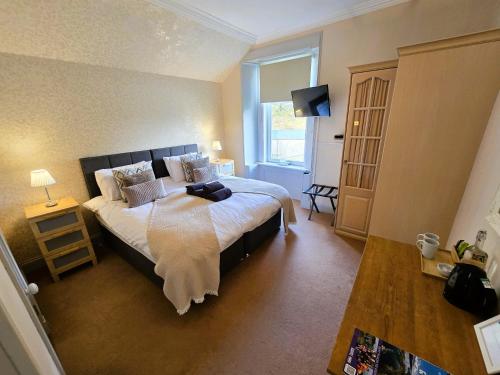 1 queen bed