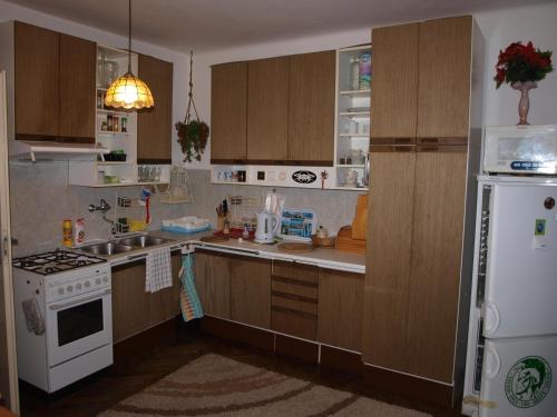 Attic Apartment City Center, Прага (фото 2)