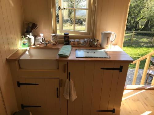 Phoenix Farm Shepherds Hut,Minions, Cornwall in North Hill