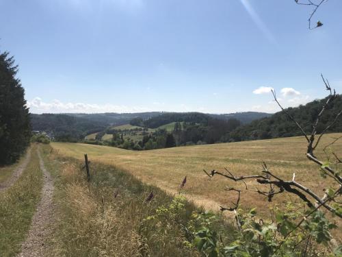 Bergblick Willingen