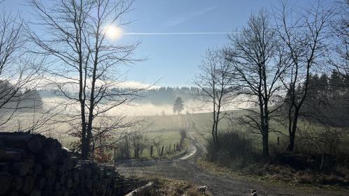 Bergchalet La Roubine Willingen
