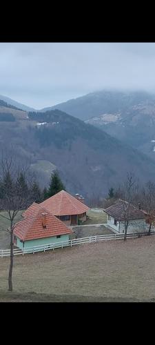 . Legat tri brata