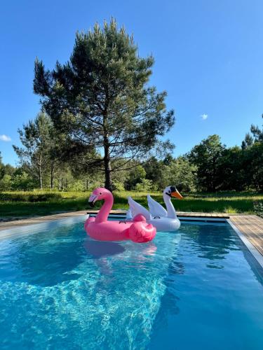 Peldbaseins, La Maison dans l'Airial, maison d'architecte en pleine nature, PISCINE in Onesse-Laharie