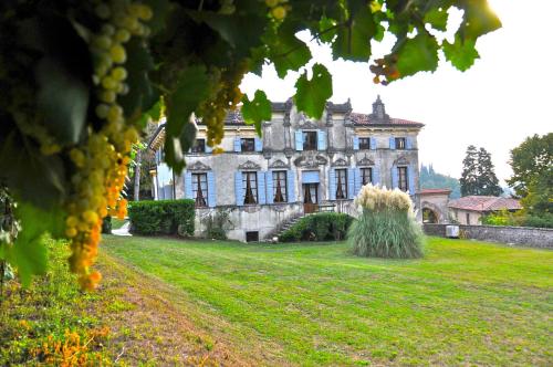 I Cipressi by Halldis