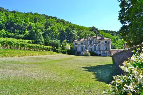 I Cipressi by Halldis