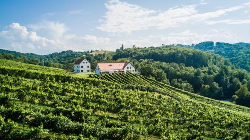 Weinschmiede 18' in Gamlitz, Österreich