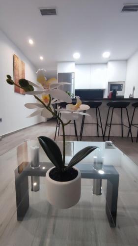Apartamento Victoria home