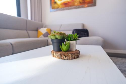 GuestReady - Private Terrace Stay, Funchal (foto 8)