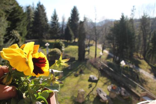 Antica Dimora del Portico – Borgiallo, NY