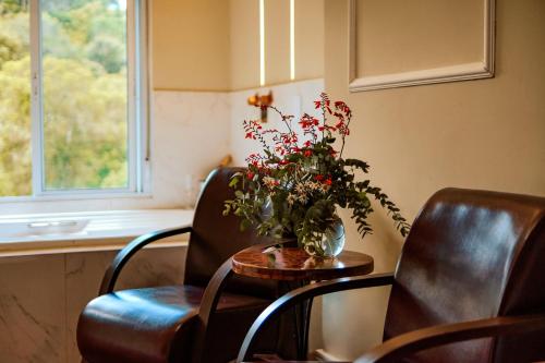 Annex - Superior Apartment image 4