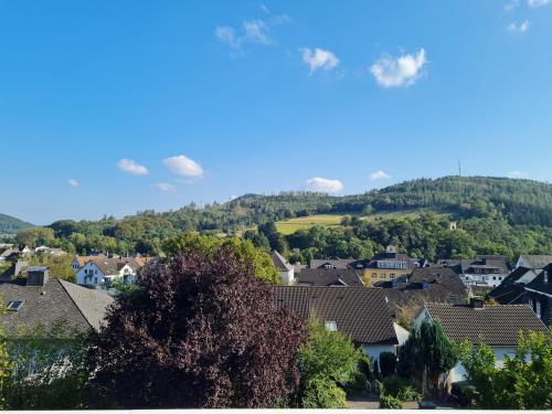 Навколишнє середовище, Cosy Holidays Ferienunterkunft in Bad Laasphe