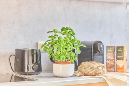 Faciliteiten, Mira - stillvolle Wohnung im Zentrum von Bretten in Bretten