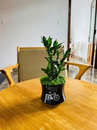 Vang's Homestay - Huế