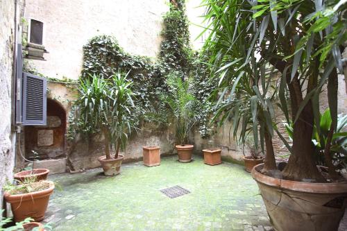 Navona Terrace 2BR Holiday House, Rom (Foto 6)