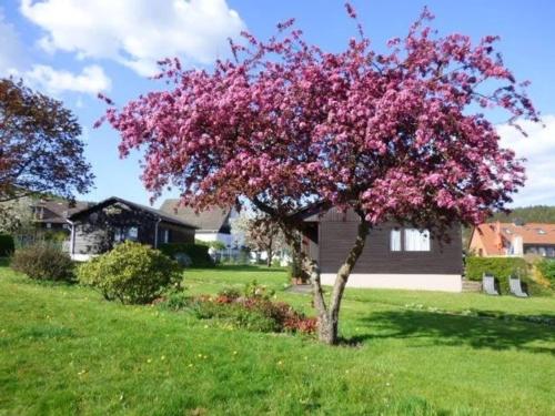 Friedel in Holenberg, Deutschland