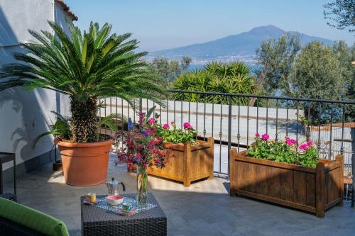 L'antica Pigna Chateau Room Type - Vacation Home