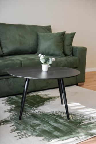 One-Bedroom Apartment image 10