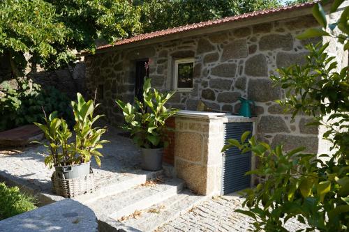 Linden Studio at Terrus Winery gîte à louer São João da Seara