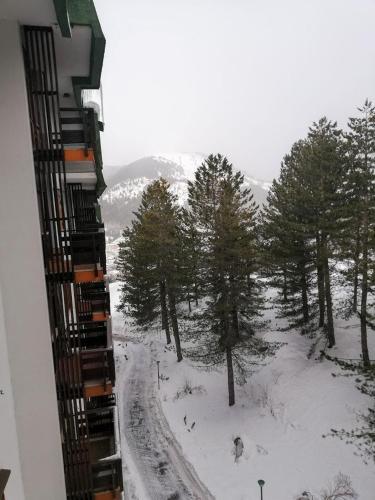 Relax tra i monti di Pescasseroli