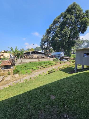 Villa Daun Trinity - image 4