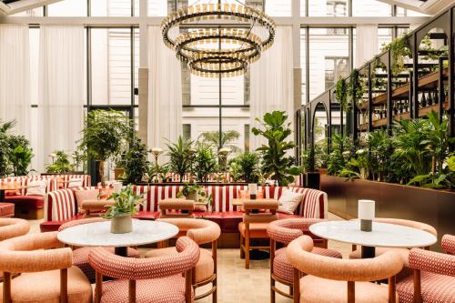 Restaurant, Le Jardin de Verre by Locke in Pantheon - Notre Dame