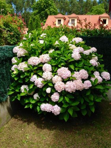 Apartamento en Comillas-Garden Apartment in Comillas