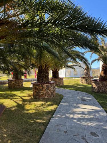 Hotel Tierra de Garnacha Hotel de charme Albeta