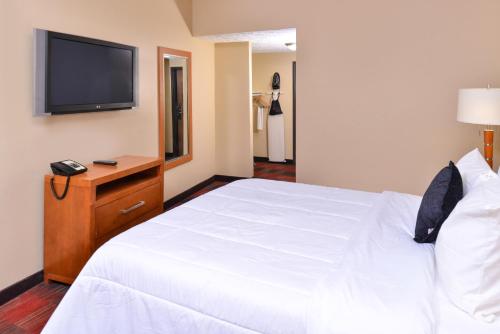 Quality Inn & Suites Airport - image 4