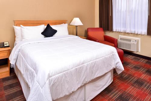 Quality Inn & Suites Airport - image 5