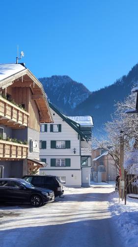 A szálláshely kívülről, Pension Edelweiss, apartment Amsterdam 4-6 pers in Gosau városközpont