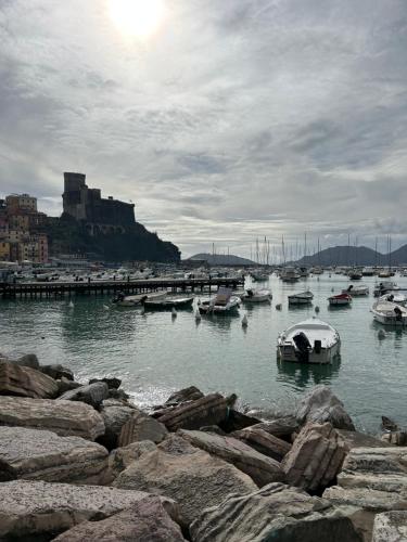 Art Hotel Pietrasanta - image 12
