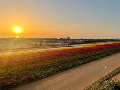 Holiday Inn Carlsbad/San Diego by IHG Holiday Inn Carlsbad/San Diego by IHG