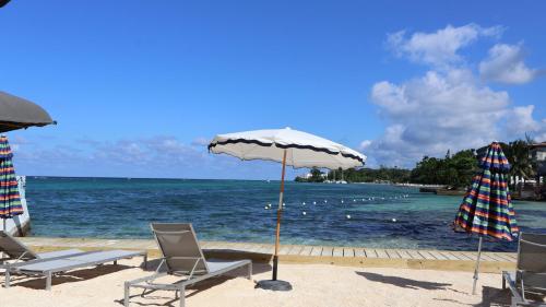 Ocean Palms