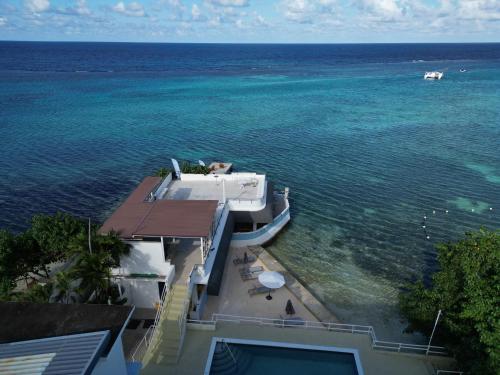 Ocean Palms