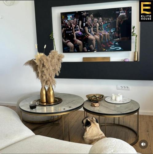 Elite House Elite House