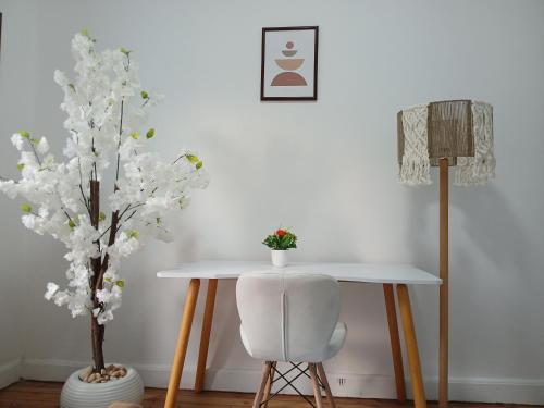 Lively Cozy Downtown Room